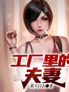 工厂里的夫妻书全文免费阅读