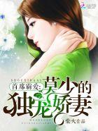 莫少独宠娇娇妻