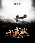 小武贼王