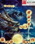 宇宇宙宇宙