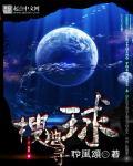 寻找地球宝藏免费阅读
