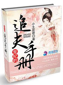 宠妃进阶手册完整版