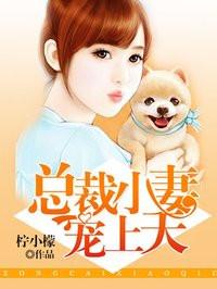 总裁小妻有点甜
