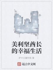 美利坚酋长的幸福生活txt