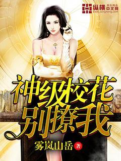 校花的神级贴身高手