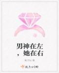 男神在左冤家在右电影