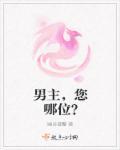 男主角是什么