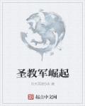 圣教军技能一览表