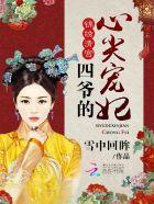 锦绣清宫四爷的心尖宠妃女主生了几个孩子