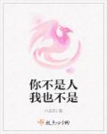 我不是你什么人