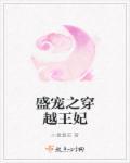 盛宠之重生王爷穿越妃