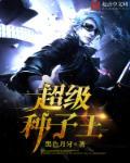 超级种子品牌公司
