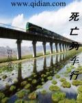 死亡列车凶手是谁