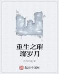 重生之夏光璀璨