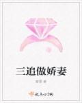 娇妻追前夫