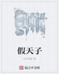 真假天子电视剧