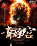 盗墓派和守墓派什么动画
