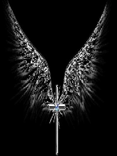 天启城四大守护者