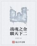 战魂之金麟天下2百度百科