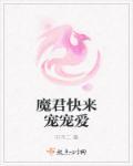 魔君宠溺爱妃