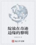 绽放在奇迹边缘的黎明 奈特老贼