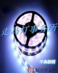 走马灯厂家