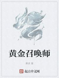 黄金召唤师夏平安官配