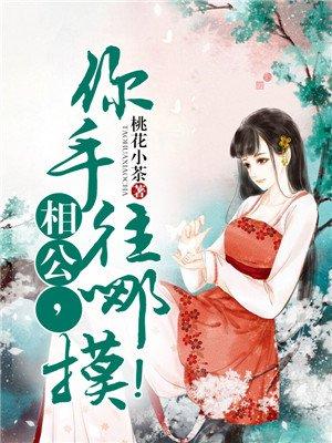 相公你手往哪摸免费阅读