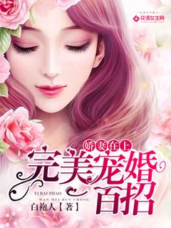 娇妻在上完美宠婚一百招331章