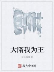 大隋我为王动画