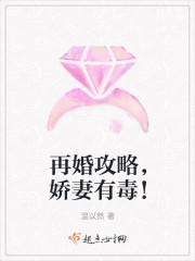 再婚攻略视频