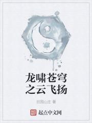 龙啸苍穹是什么意思