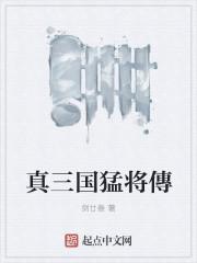 真三国猛将传7吕布两把秘武