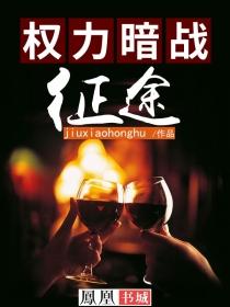 权力暗战征途 第13章