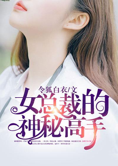女总裁的神秘高手李飞