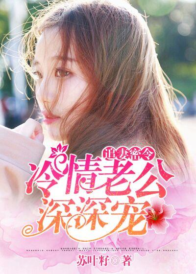 冷情总裁追妻难