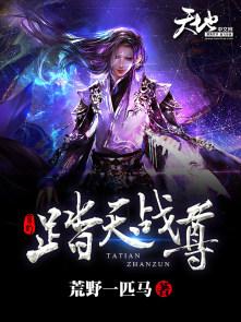 踏天道尊全本