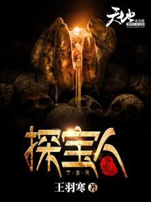 探宝钗黛玉含酸主要内容