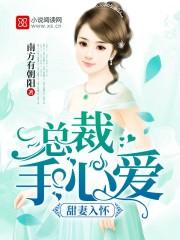 甜妻入怀