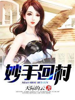 妙手回村 聚合中文网