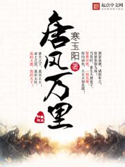 风万里视频