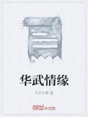华武集团董事长