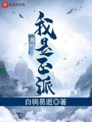 我真的是正派第二季