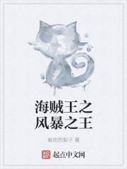 海贼王之暴风之神