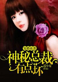 神秘总裁宠妻成瘾