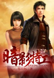 暗影特工完整版