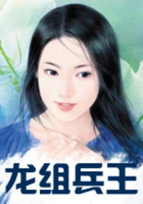 龙组兵王精校版TXT