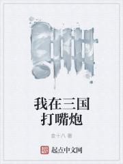 我在三国一打仨免费阅读