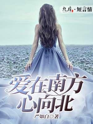 爱在南北极的意思