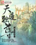 天道独尊全本txt